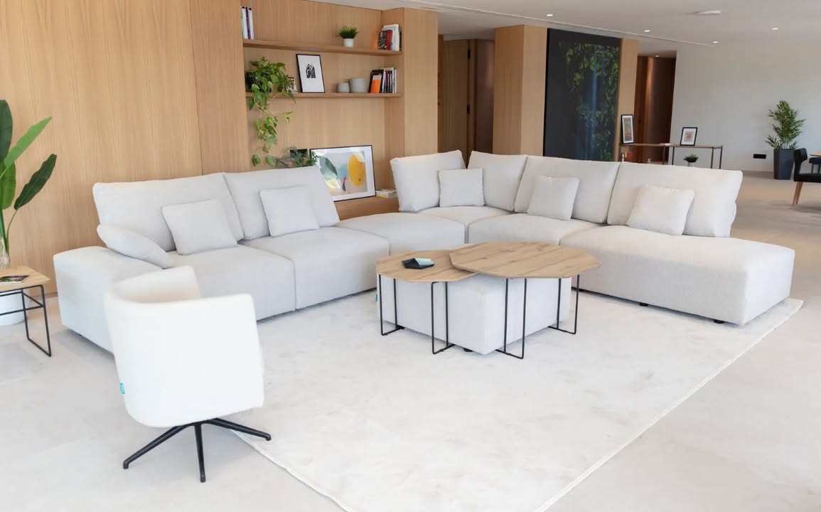 🛋️ Descobreix el sofà TESE